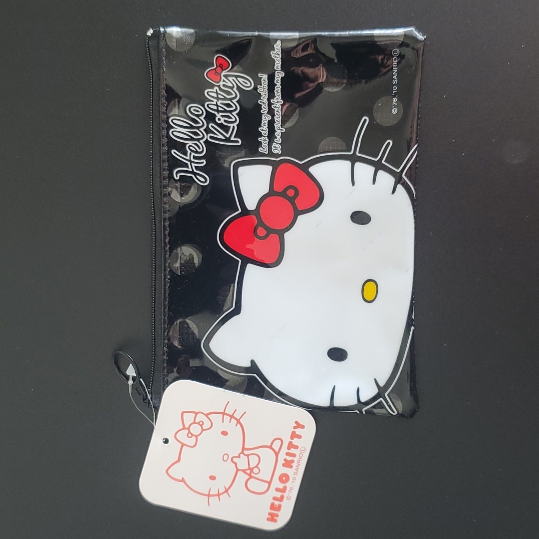 Hello Kitty Case